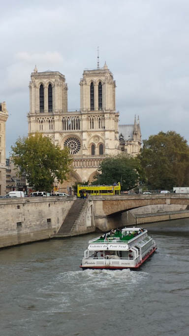 Notre Dame Blick vom Fluß